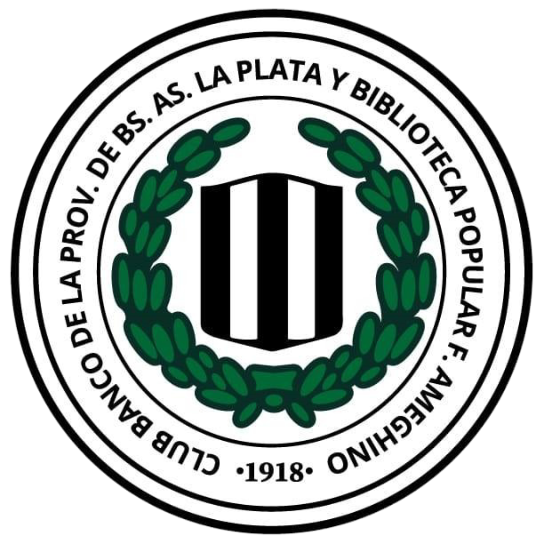 logo BANCO PROVINCIA  /V.San Carlos
